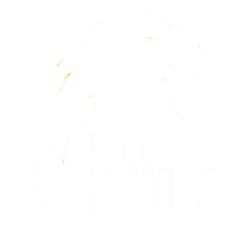 Logo cliente client-31
